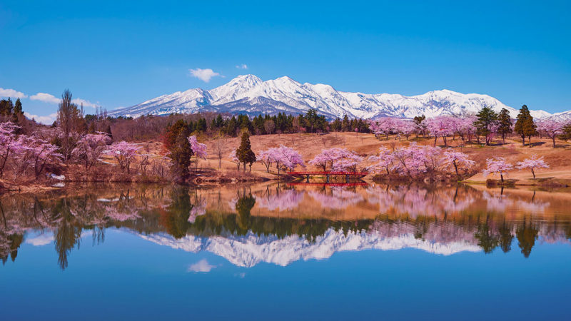 Myoko Kogen highland