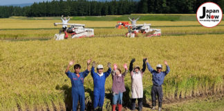 Myoko Tourism: the peak of scenic ski resorts in Japan Message from Myoko, Niigata. Myoko Tourism with Wattention