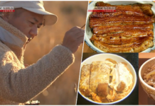 NHK WORLD-JAPAN Video on Demand Review: Donburi Rice Bowls & Micro Fishing
