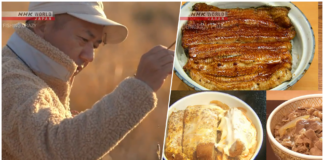 NHK WORLD-JAPAN Video on Demand Review: Donburi Rice Bowls & Micro Fishing
