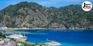 ST Tour: A Wave Hello from Tokyo’s Ogasawara Islands Ogasawara Islands