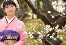Know Your Kimono: 9 Different Kimono Types kimono types sakura