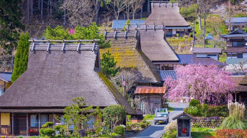 thatched-roofed houses