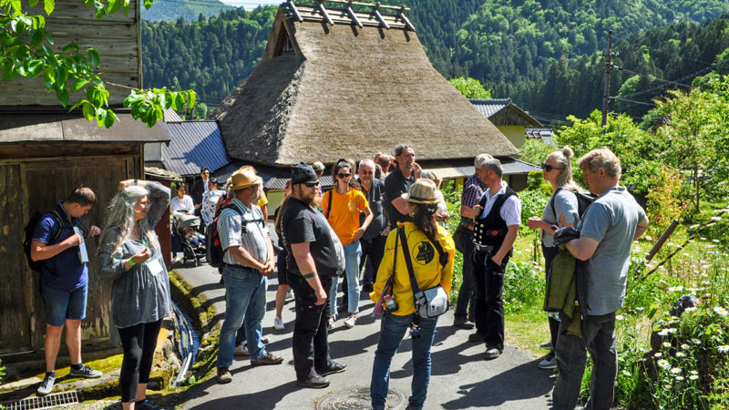 thatched-roofed