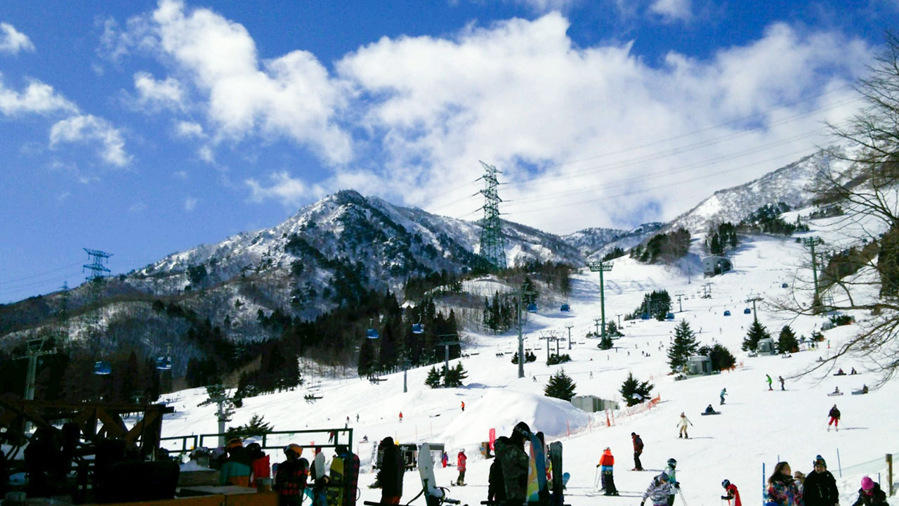 Ski resort in Niigata