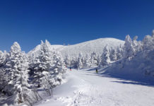 10 Amazing ski resorts you can visit from Tokyo winter