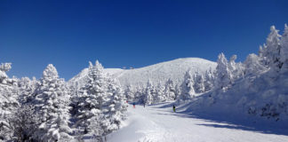 10 Amazing ski resorts you can visit from Tokyo winter