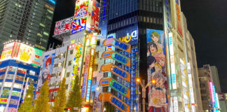 Akihabara Manga: reading by neon light