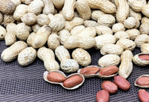 The Ultimate Chiba Food Guide – 15 Must-Try Items