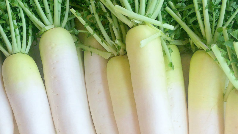 A picture shows Japanese grater, Oroshigane, and grated Japanese radish,  daikon-oroshi, in Tokyo on May