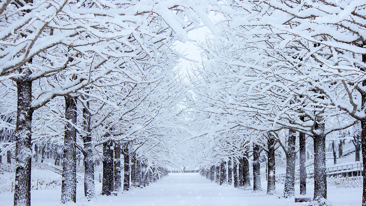 This image has an empty alt attribute; its file name is winter-001-1.jpg