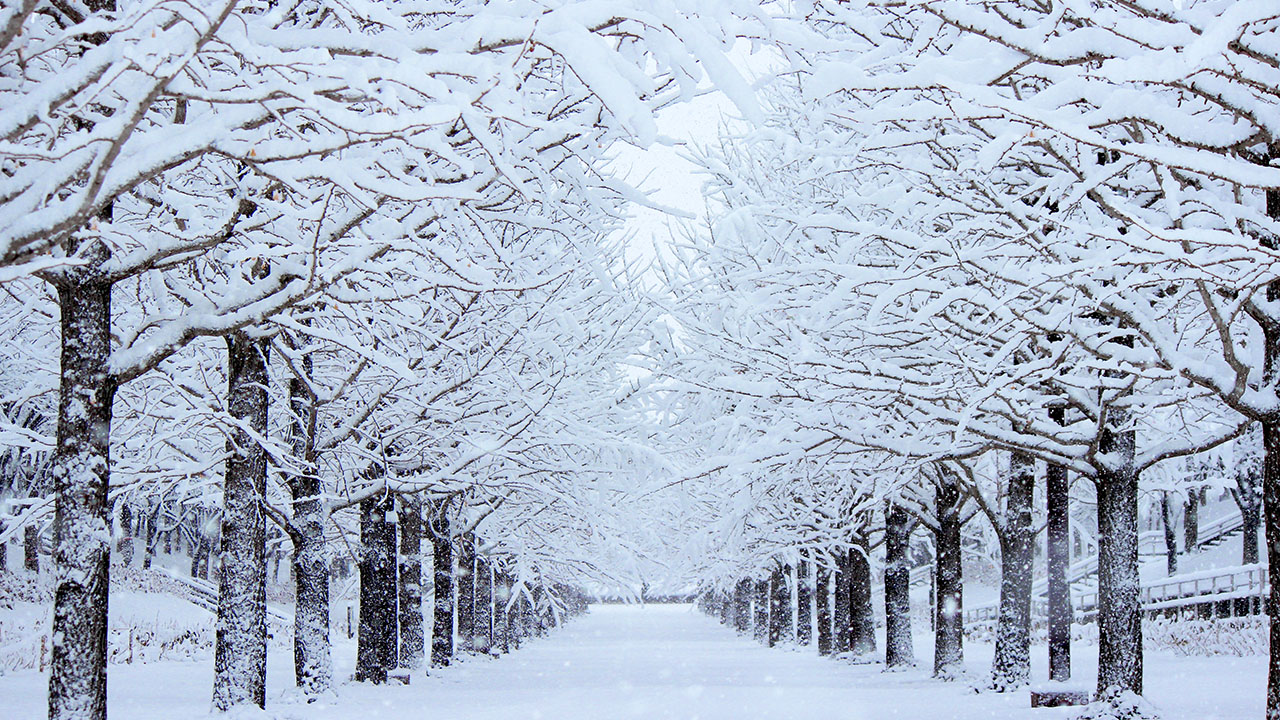 average-snow-in-japan