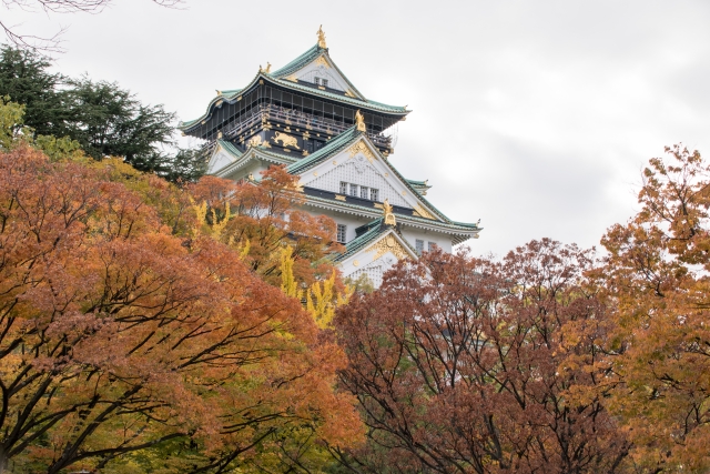 Osaka Castle Autumn