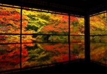 IN HARMONY WITH THE SEASONS: Momiji-gari Rurikoin temple