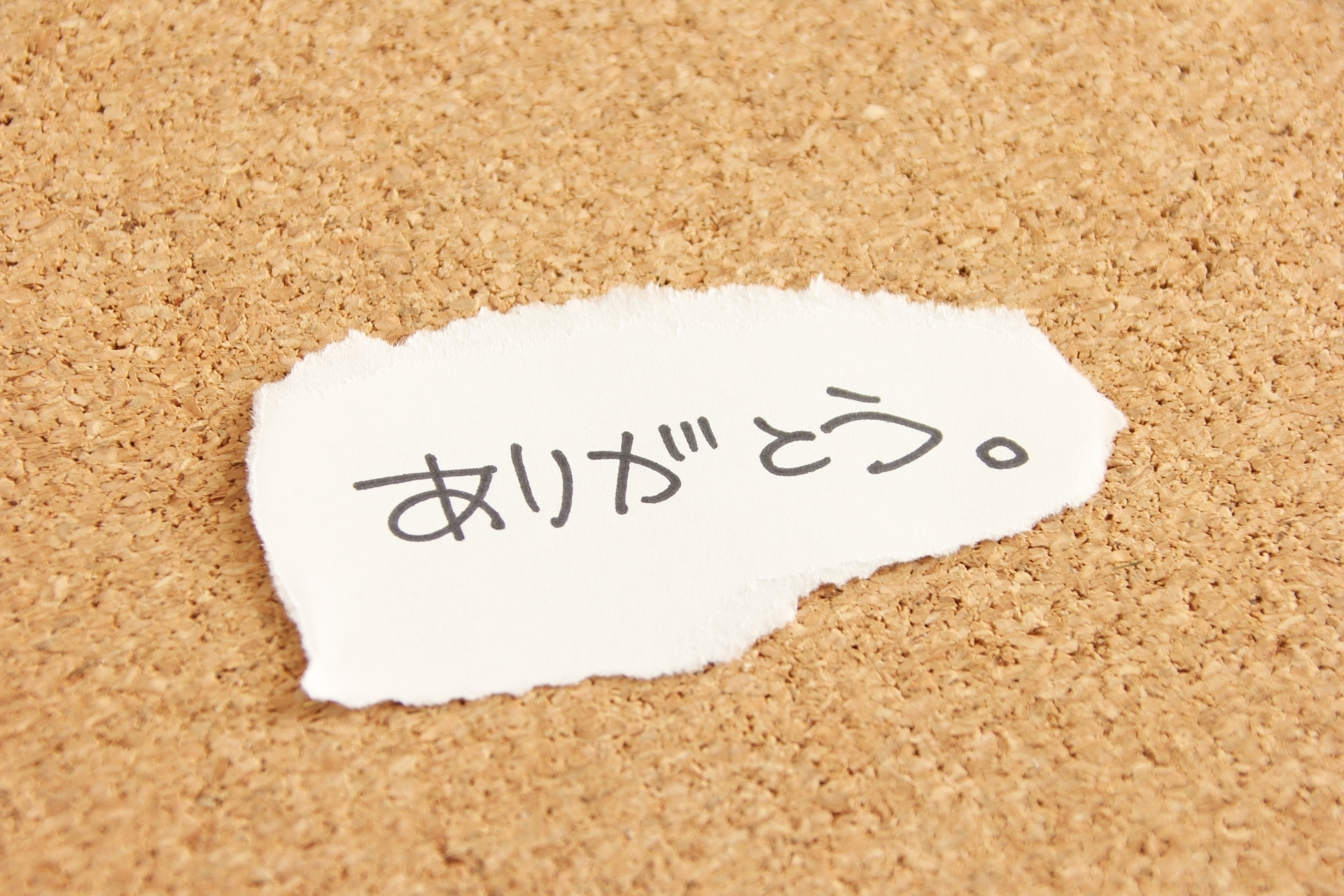 10 Ways to Say Thank You in Japanese 