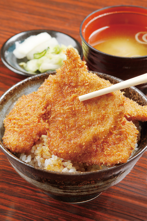 Tarekatsudon