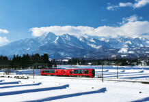 Enjoy snow in the silvery white canvas