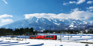 Enjoy snow in the silvery white canvas