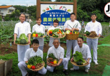 Natural Farm City Nouen Hotel: Leave no Stone Unturned with Saitama’s tourist town, Chichibu! Nouen Hotel