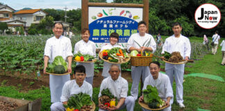 Natural Farm City Nouen Hotel: Leave no Stone Unturned with Saitama’s tourist town, Chichibu! Nouen Hotel