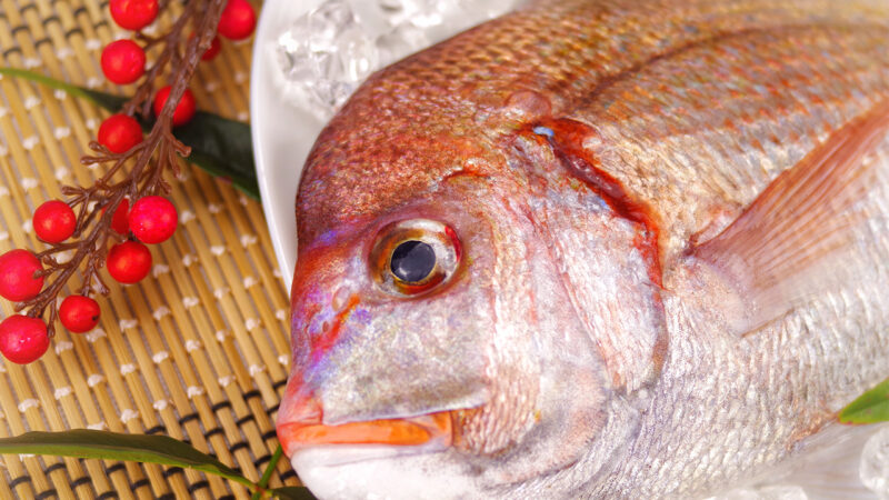 Japanese Winter Seafood Red Seabream