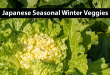 Fresh, Delicious Japanese Winter Vegetables and Fruits
