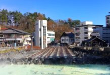 Ryokan vs Minshuku: Where to stay in Japan