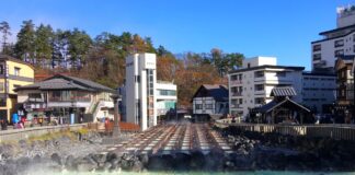 Ryokan vs Minshuku: Where to stay in Japan