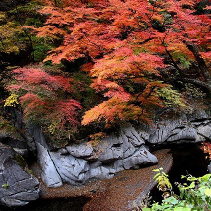 Nakatsu Ravine Fall Foliage Saitama Spot