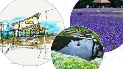 Image of Akita