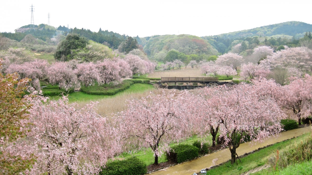 Hitachi Fudoki Hill