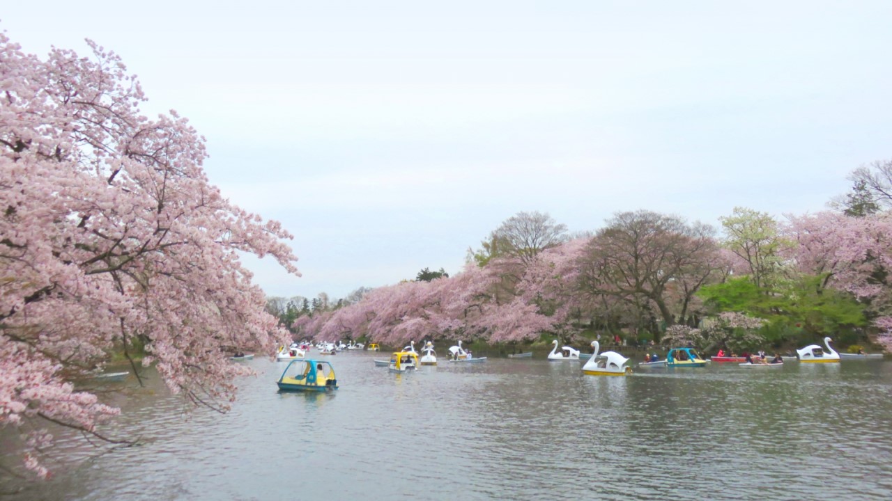 Inokashira Onshi Park