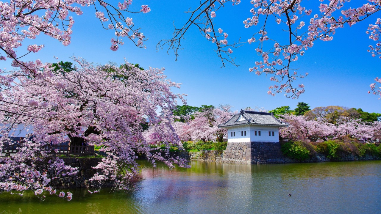 Odawara Castle