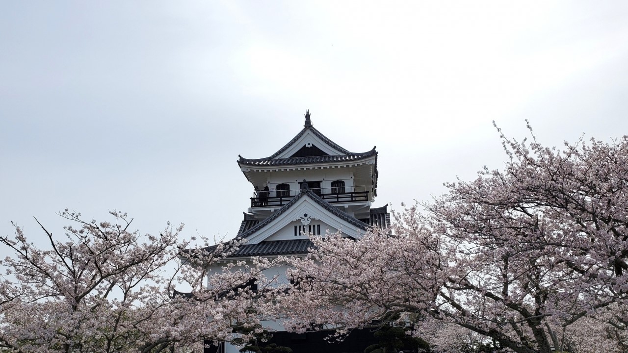 Tateyama Castle