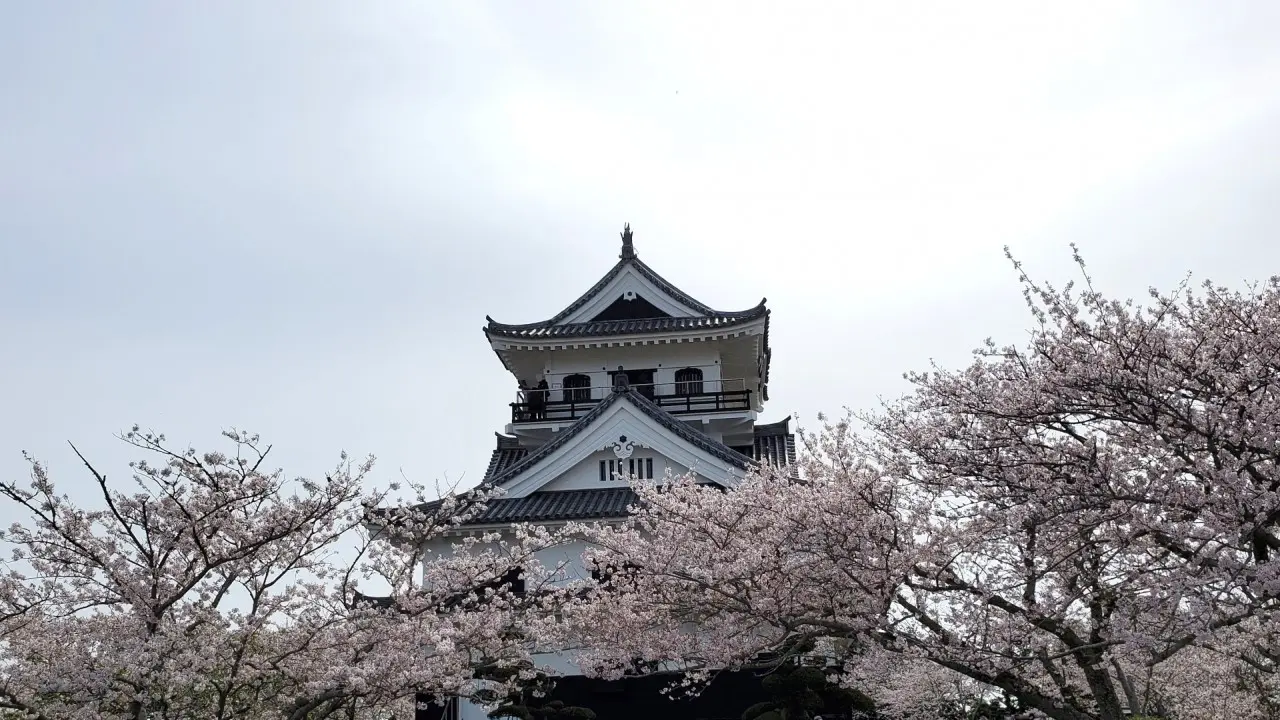 Tateyama Castle
