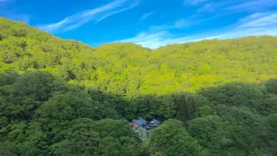 Miyagi Prefecture