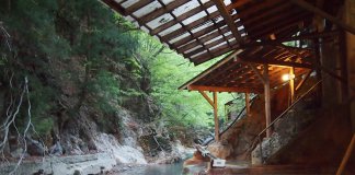 Enjoy Onsen in Japan: Tochigi’s Shiobara Hot Spring Village, Myogaya Honkan