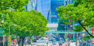 How Hot is Summer in Japan?