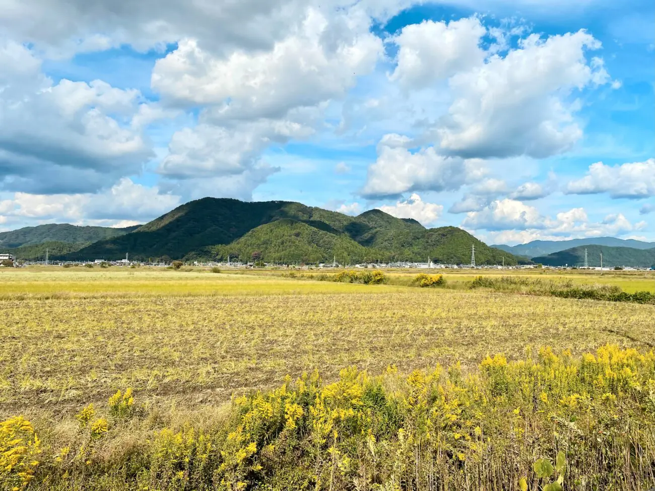My Overall Impression of Fukui