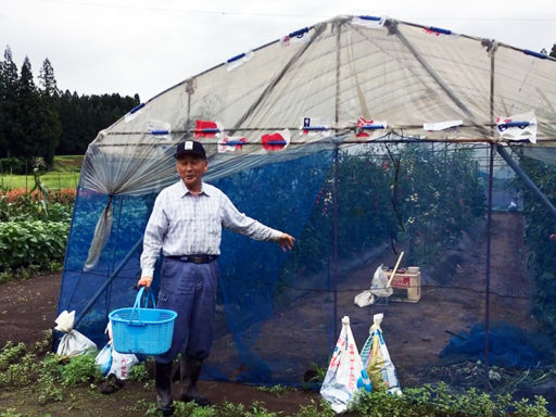 Vegetables at a Local Farm