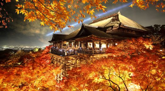 Kiyamizu-dera Temple in Autumn Season Light-up Event